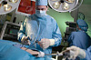 Хірургічна гастроентерологія, ендоскопічна хірургія та трансплатація